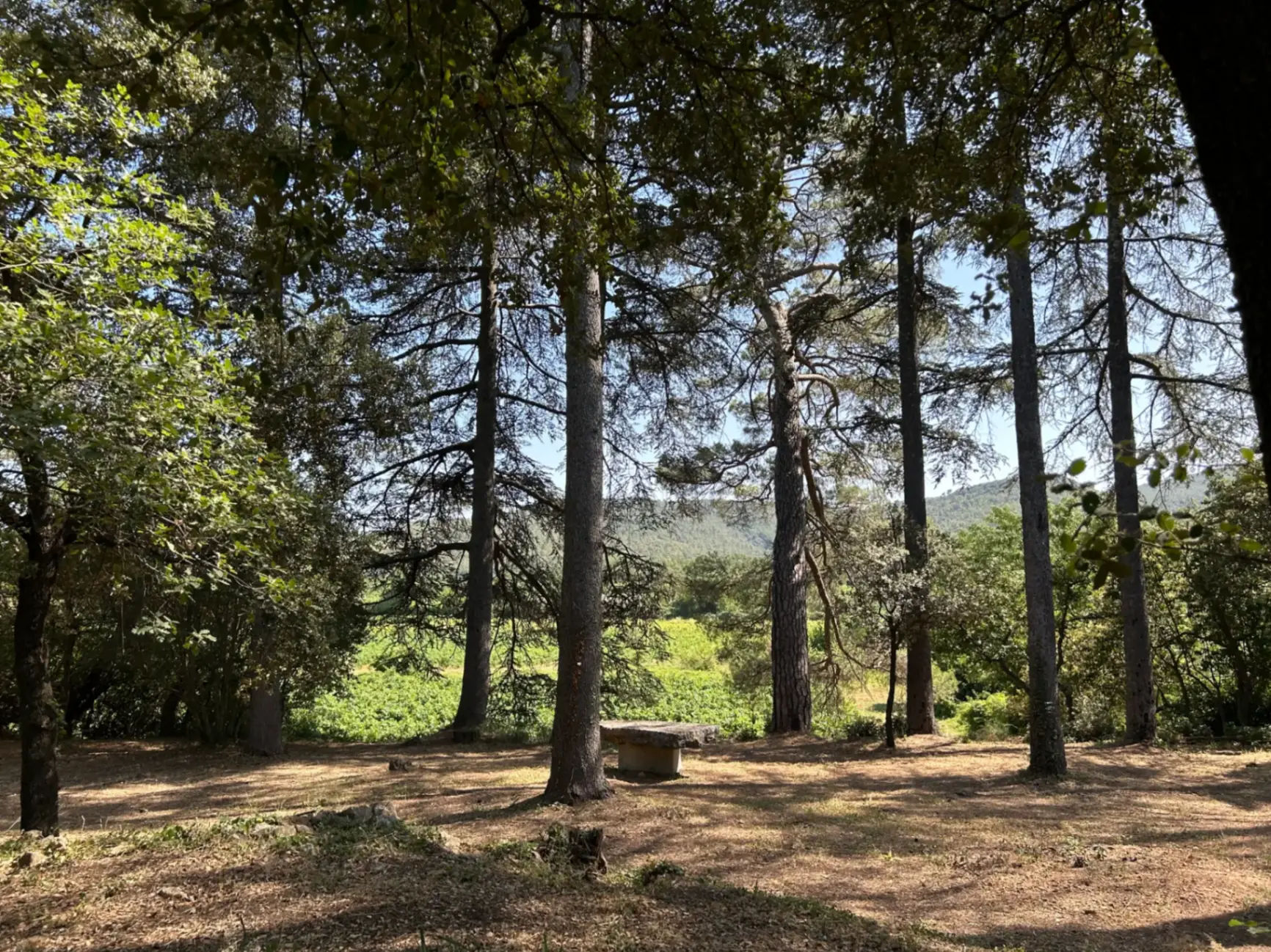 Domaine de la Prévote – Besse-sur-Issole
