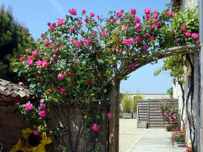 Gîte Domaine de Chante-Oiseau — gîte de groupe à Theil-Rabier