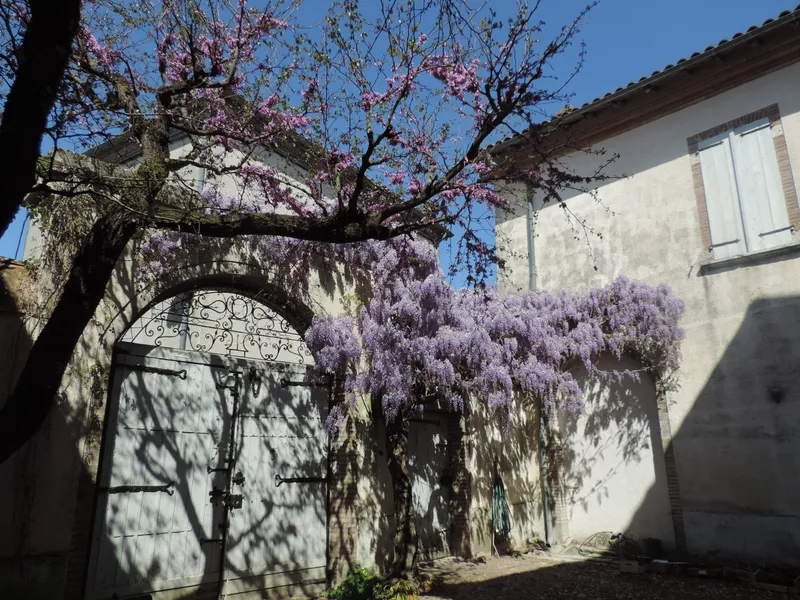 Photo 4 de La Grande Maison Mirabelensis à Mirabel