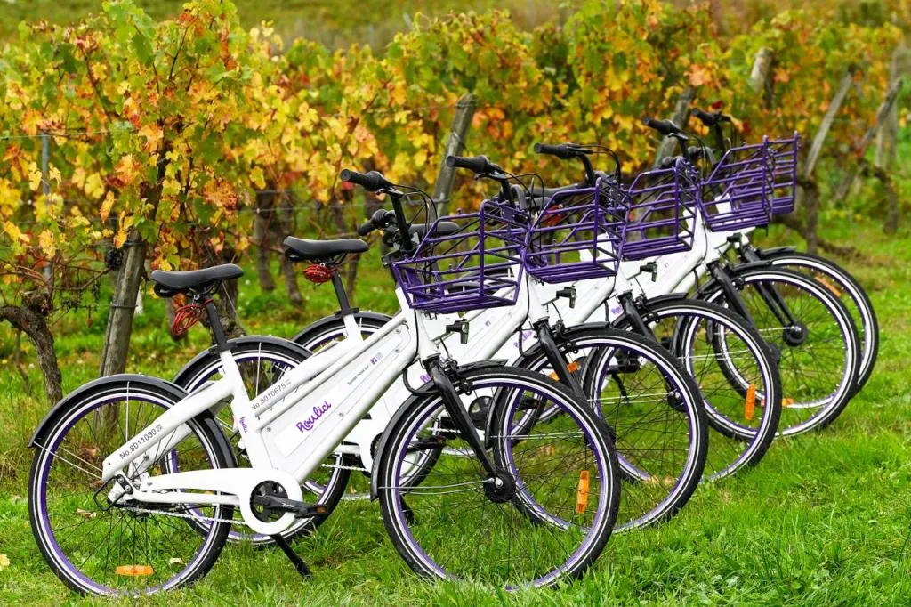 Domaine 2 Moulins – Les Garennes sur Loire