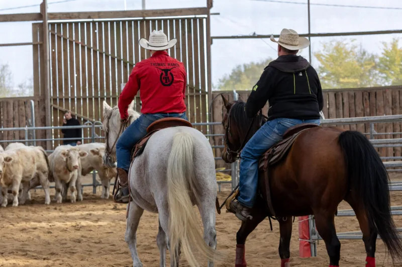 Thomas Ranch – Les Hauts d'Anjou