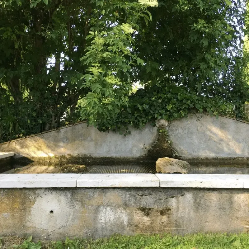Photo 5 de Mas de Pierre-Étoile à Vaugines