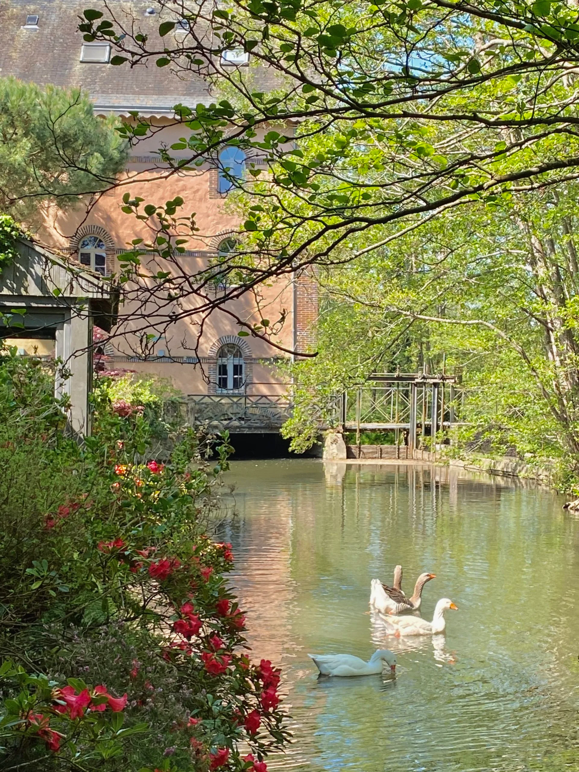 Gîte de groupe Le Moulin Pley à Sablons-sur-Huisne — Photo 1 de Le Moulin Pley à Sablons-sur-Huisne, capacité 22 personnes
