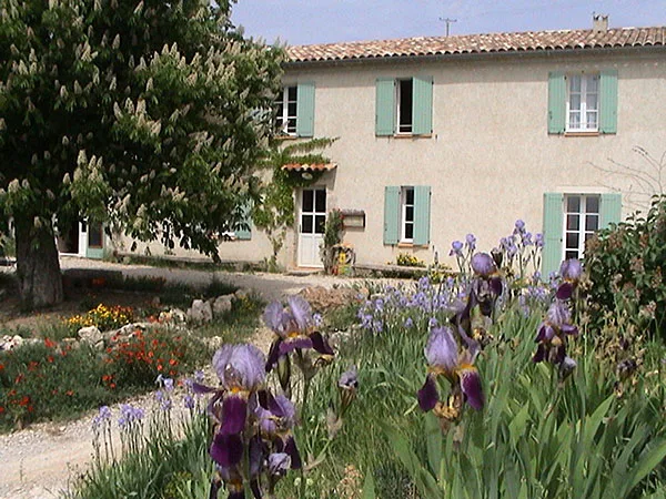 Mas provençal enduit blanc avec volets verts et jardin d'iris en fleurs