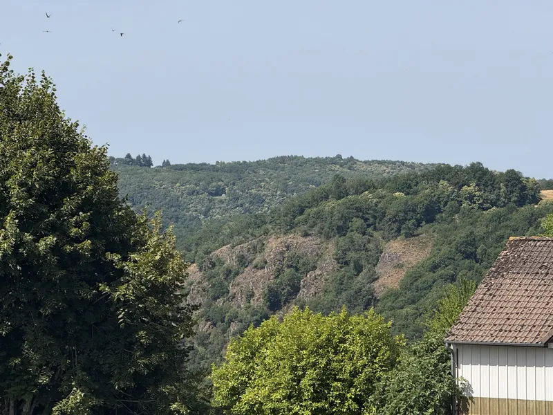 Photo 4 de Le Cantou, presbytère du XVIIIe à Saint-Mesmin