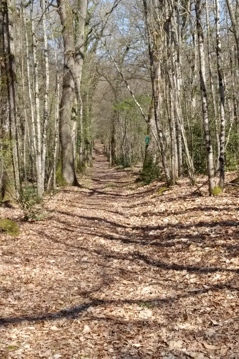 Photo 3 de La Roseraie de Brou à Noyant-de-Touraine