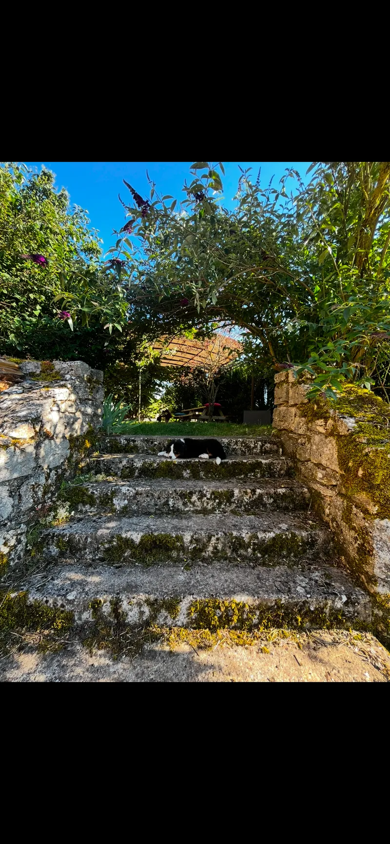 Photo 5 de Auberge Du Chanet à Hures-la-Parade