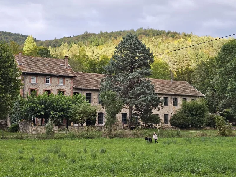 Longere ancienne en pierre nichee dans un vallon boise, prairie verdoyante au premier plan
