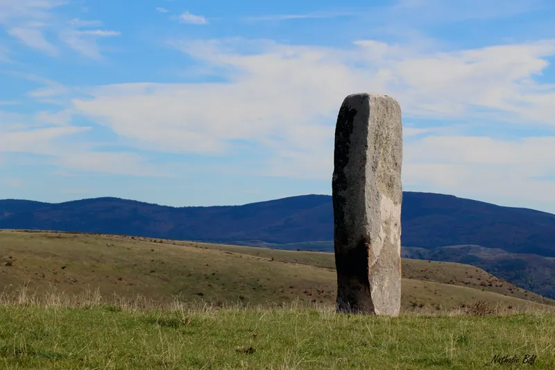 Photo 5 de Gite De La Fage à Saint-Étienne-du-Valdonnez