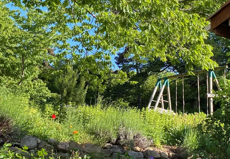 Jardin nature arbore avec balancoire en bois, lavande et vegetation luxuriante