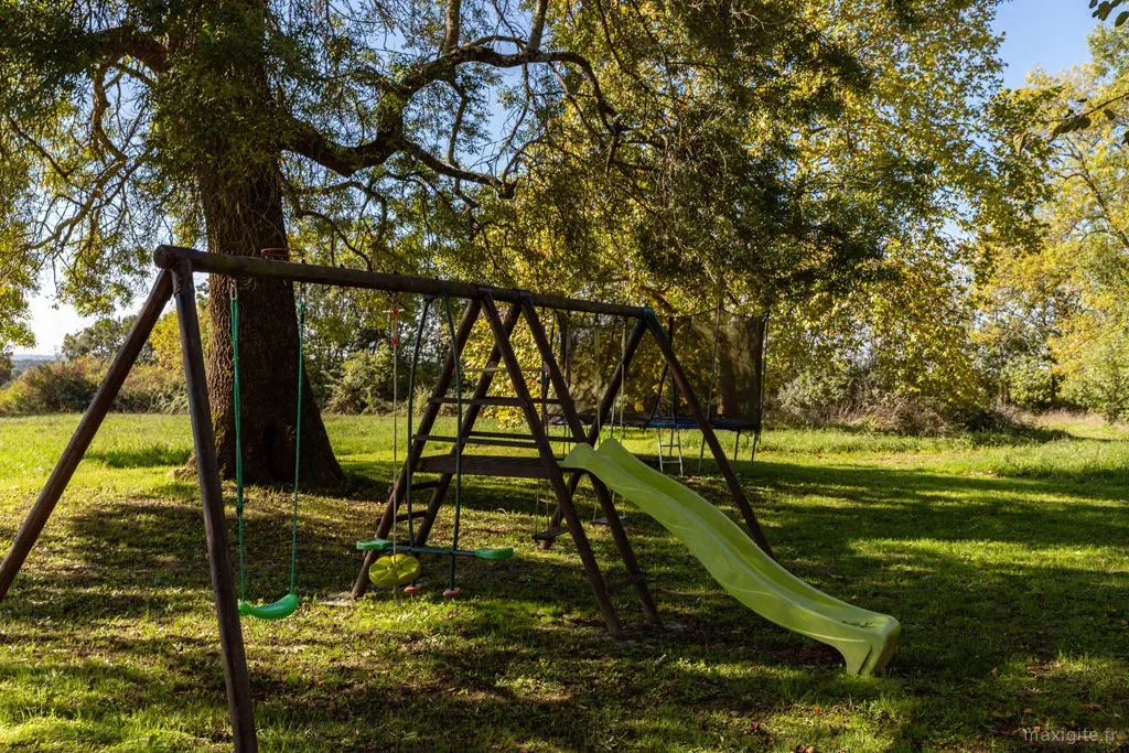 Aire de jeux pour enfants avec portique, balancoires et toboggan sous un grand arbre