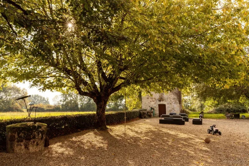 Vaste cour sous un grand arbre aux teintes automnales devant la batisse en pierre