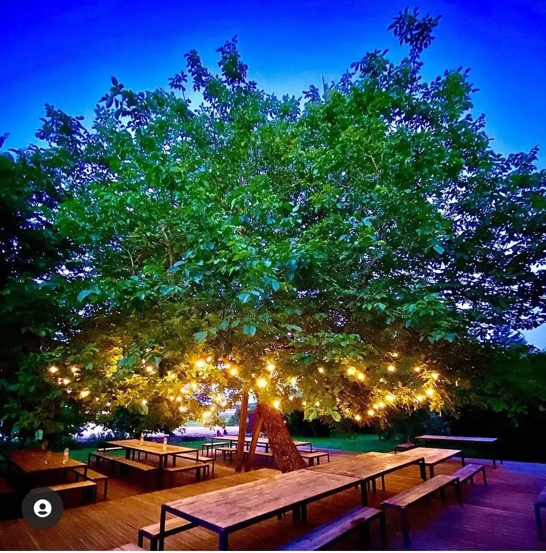 Diner sous les arbres en extérieur Domaine de la Pépinière – Châtenay-sur-Seine