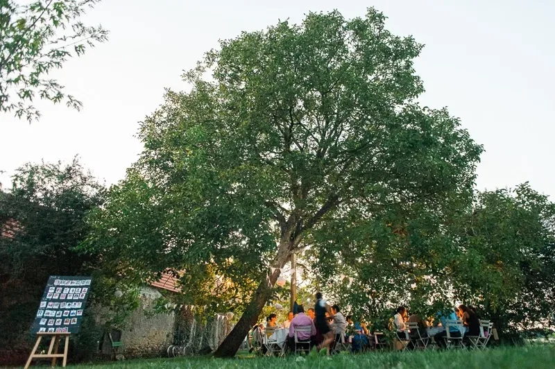 Parc Domaine de la Pépinière – Châtenay-sur-Seine