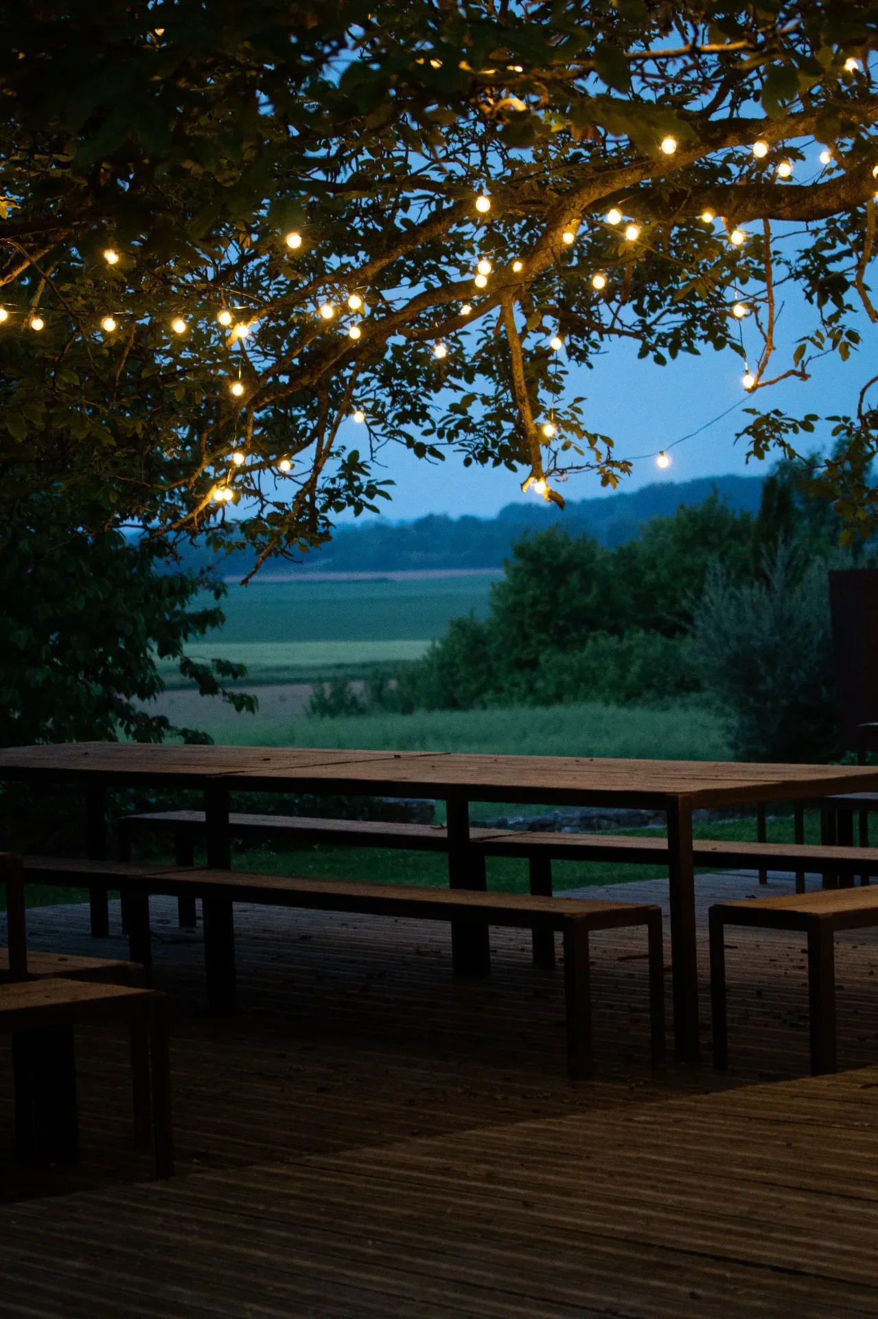 Diner sous les arbres Domaine de la Pépinière – Châtenay-sur-Seine
