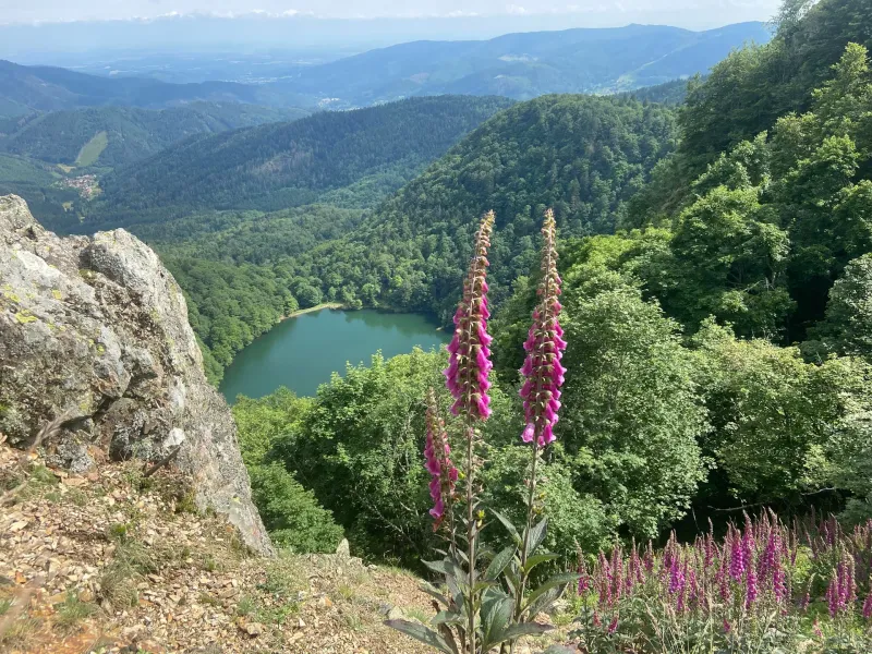 Photo 1 de Chalet du Rouge Gazon à Saint-Maurice-sur-Moselle