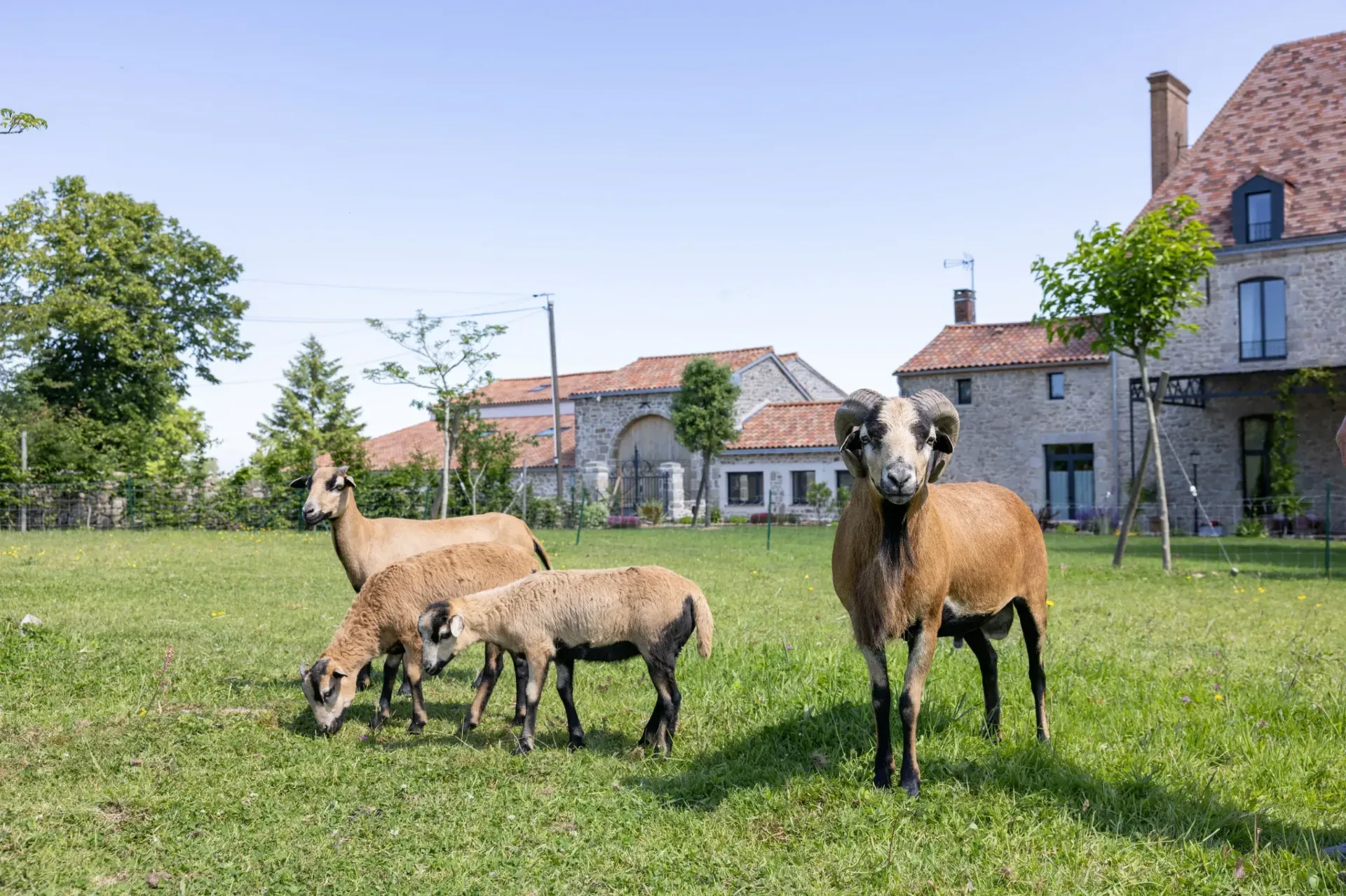Domaine de la Haye – Saint-Christophe-du-Bois