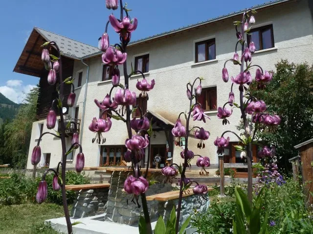 Gîte de groupe Gîte les Arolles à Molines-en-Queyras — Gîte les Arolles – Molines-en-Queyras, capacité 33 personnes