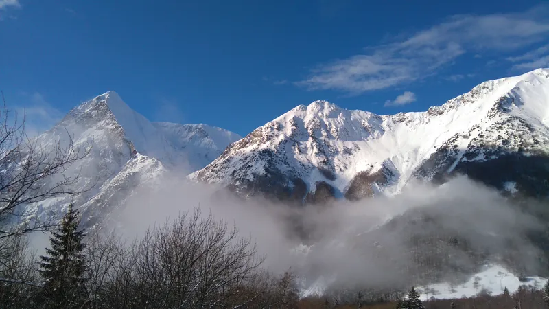 Photo 1 de Gite le Chamois à Chantepérier