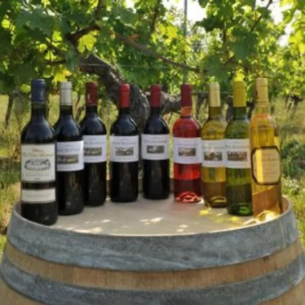 Neuf bouteilles de vin rouge, rosé et blanc alignées sur un tonneau