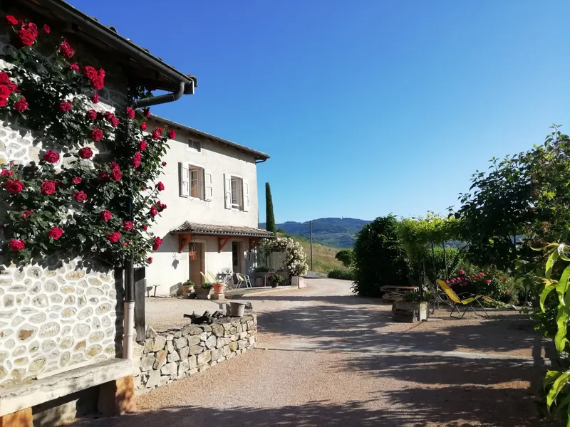 Photo 1 de Domaine Lagneau à Quincié-en-Beaujolais