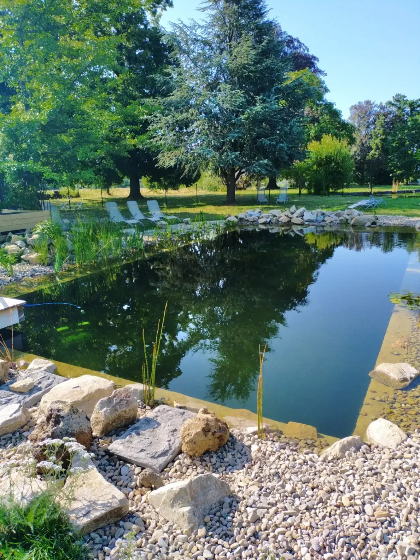 Piscine naturelle