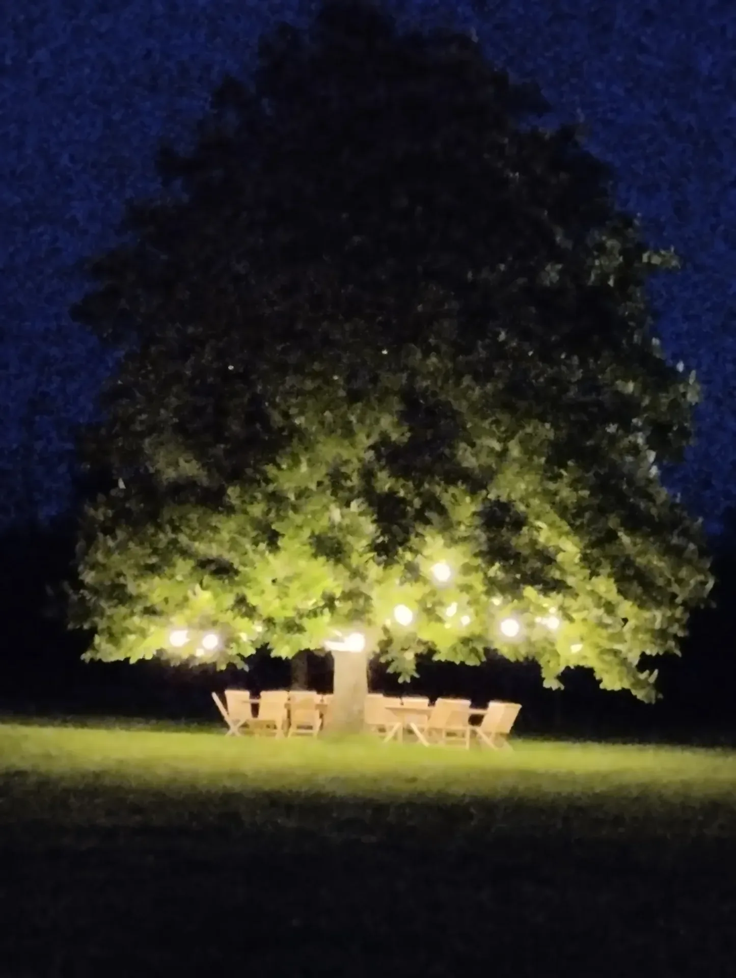 Mobilier de jardin sous le marronnier avec guinguette