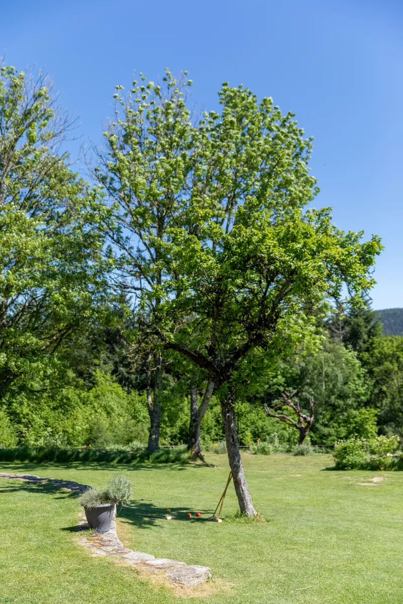 Photo 1 de Le Domaine des Gorcias à Vollore-Montagne