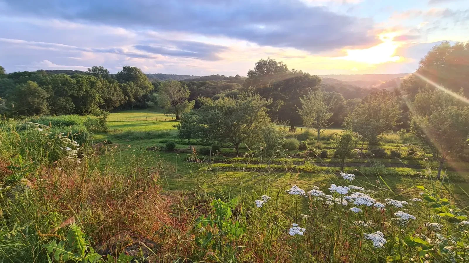Vue du jardin.