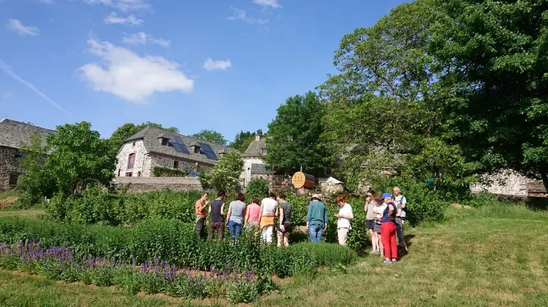 Le jardin d’aromatiques, lors d’un stage sur les plantes.