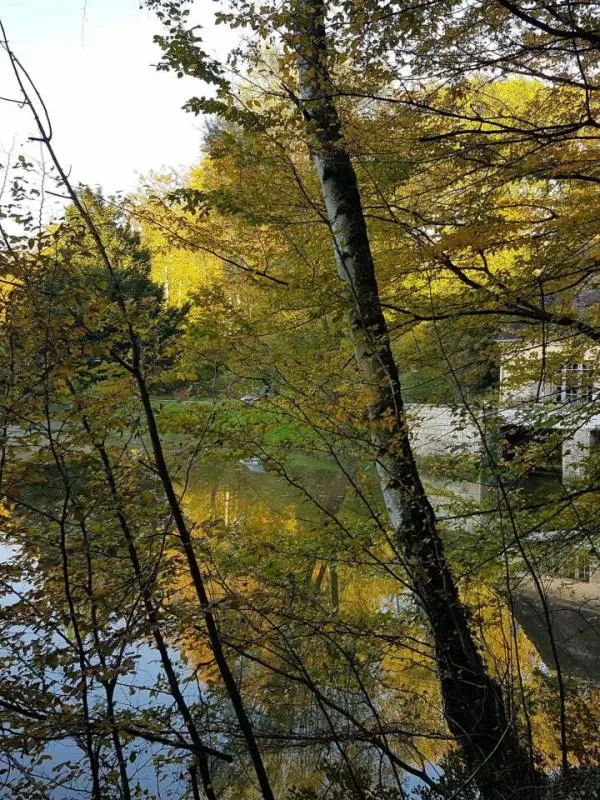 Photo 1 de Le Jardin de Saint-Jean - Nid dans la forêt à Saint-Jean-aux-Bois