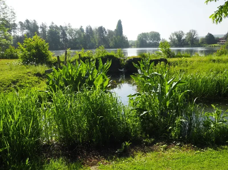 Le Chalet du Pêcheur – Incheville