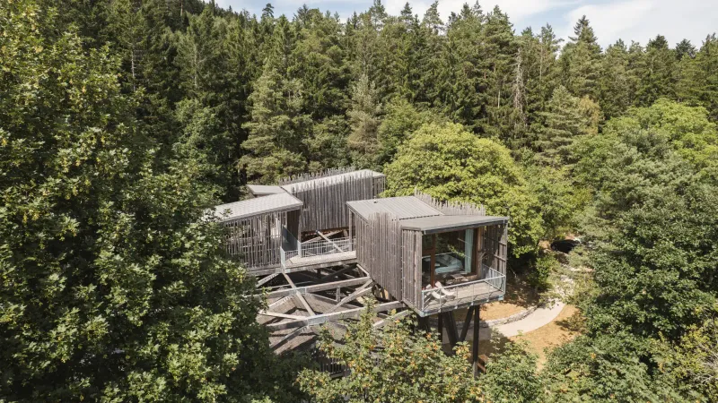 Photo 2 de Villa Forêt & Spa à Champdray