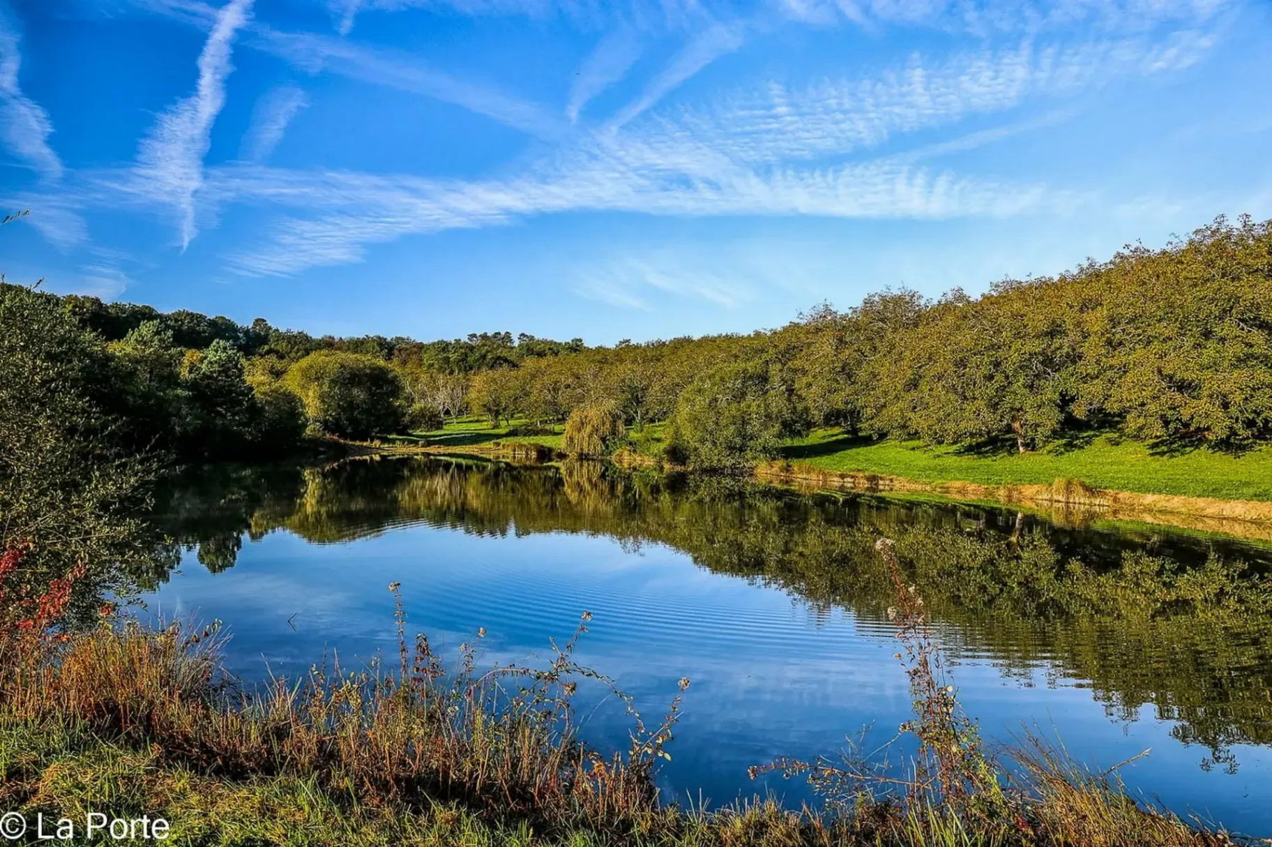 Etang 2