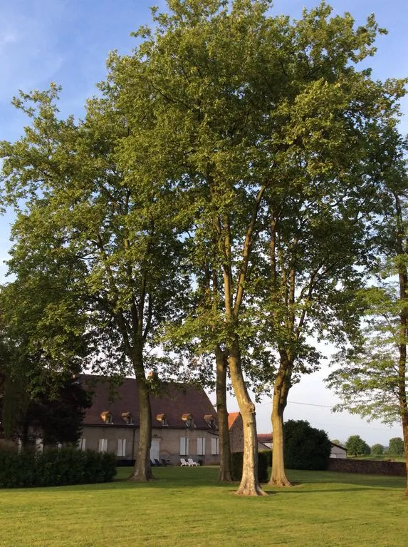 Photo 3 de Domaine du Seuil à Volesvres