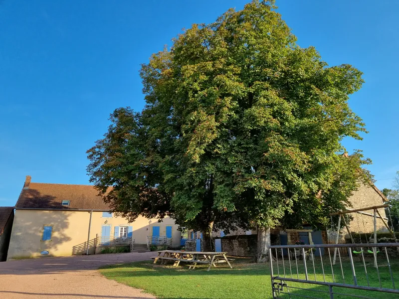 Photo 4 de Les Gîtes du Miel à Saint-Bonnet-de-Vieille-Vigne