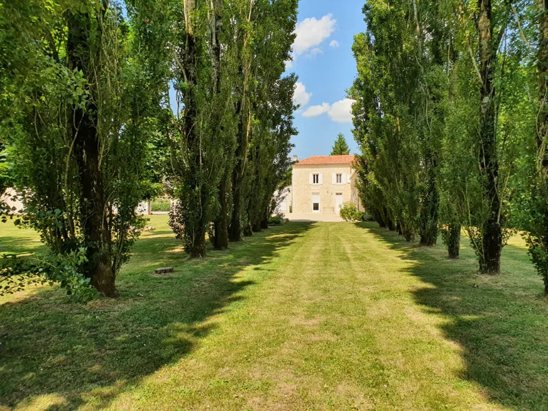 Allée herbeuse bordée de peupliers menant à une maison blanche