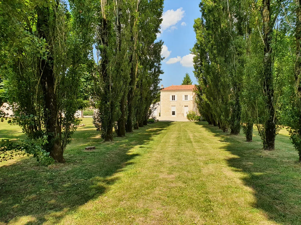 Gîte de groupe Le Grand Langonnais à Le Langon — Allée herbeuse bordée de peupliers menant à une maison blanche, capacité 15 personnes
