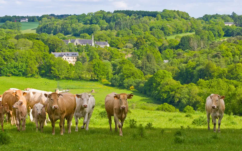 Vue extérieure du Vallon de Saint Eloi, Guiscriff — bocage morbihannais