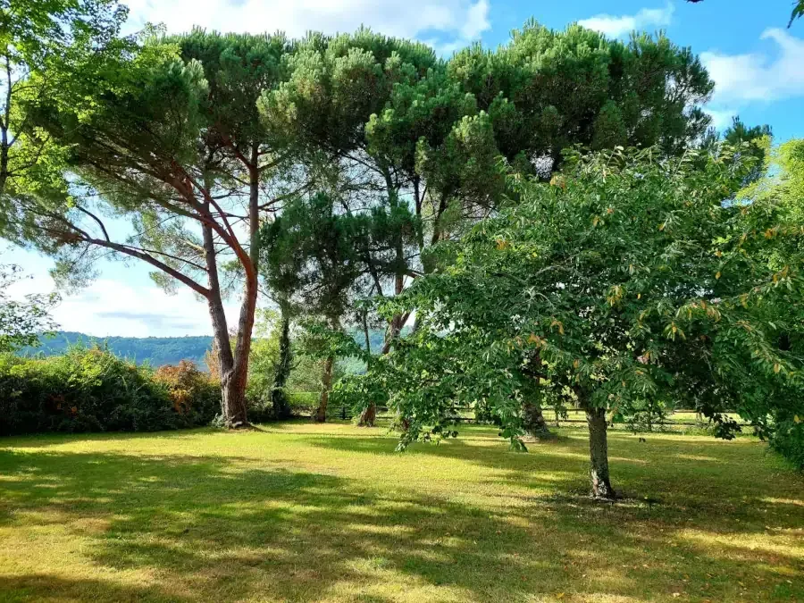 Parc arboré de 8 400 m² de La Buissière