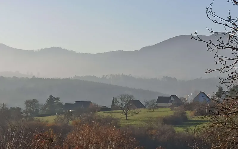 Vue d'automne depuis le gîte alsacien, forêts vosgiennes aux couleurs d'automne et clocher de Niederhaslach