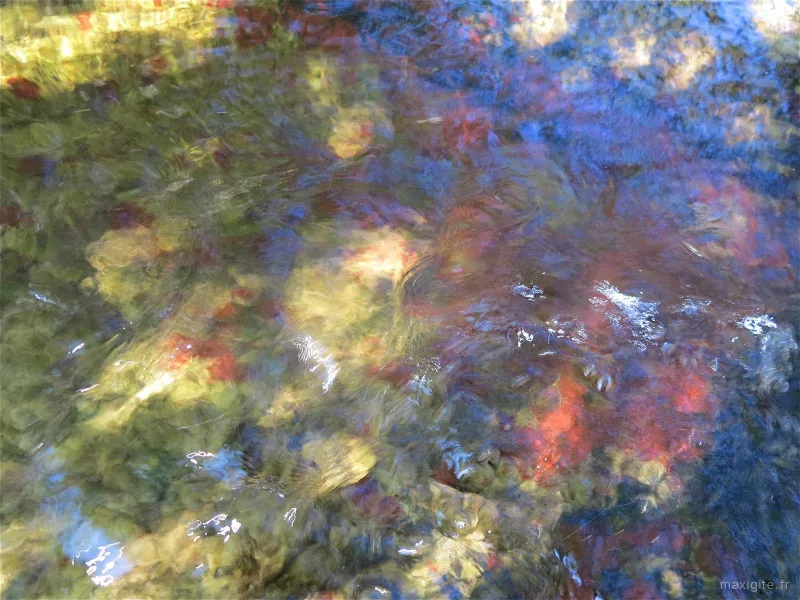 Reflets d'automne dans un ruisseau de montagne, couleurs rouges et dorées