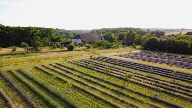 Vue aérienne du Domaine de Cugnac en Périgord, château entouré de 4 ha de prairies