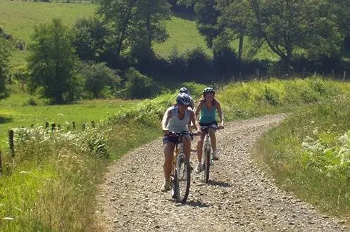 Deux cyclistes sur chemin de gravier dans prairies verdoyantes ensoleillées