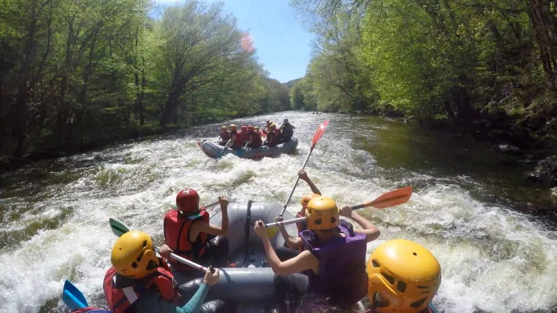 Descente en rafting en eaux vives dans gorges boisées avec groupe casqué