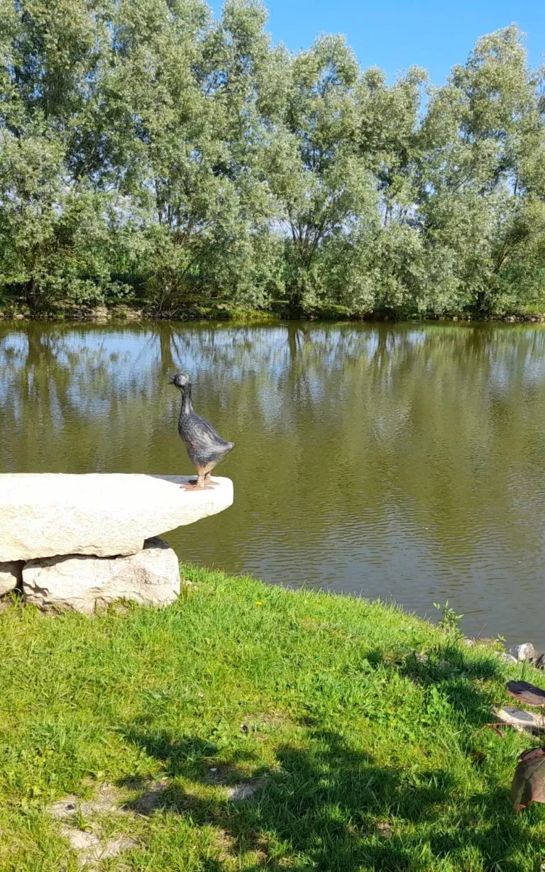 Étang privé du Charmay en été, pêche et faune sauvage dans la région des mille étangs de l'Ain
