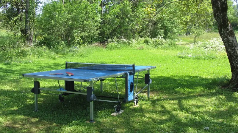 Table de ping-pong dans l'espace de loisirs extérieur