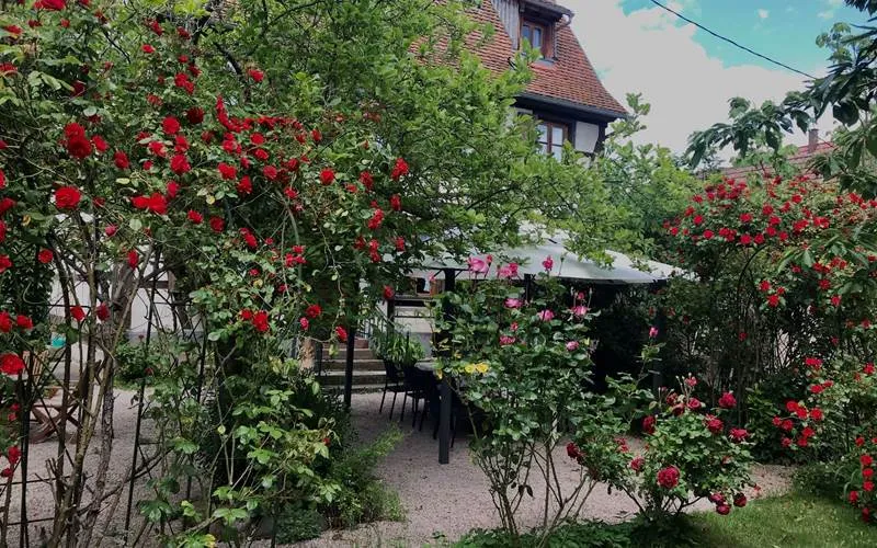 Dambach-la-Ville depuis le jardin
