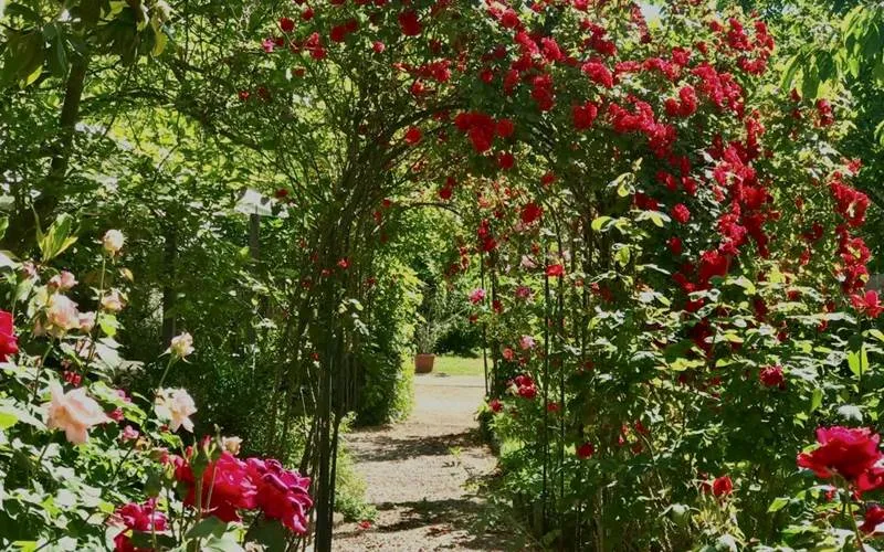 Jardin