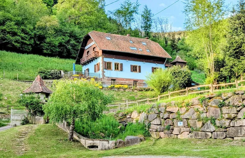 Jardin traversé par un ruisseau de montagne vosgien